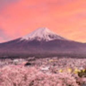 Meet your Posher, Ethan